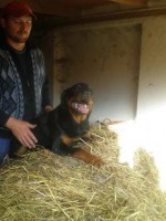 /album/abina/pa090047-jpg/