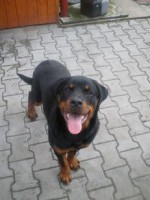 /album/abina/pa090050-jpg/