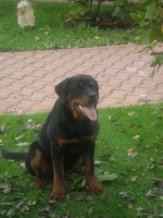 /album/abina/pa090058-jpg/